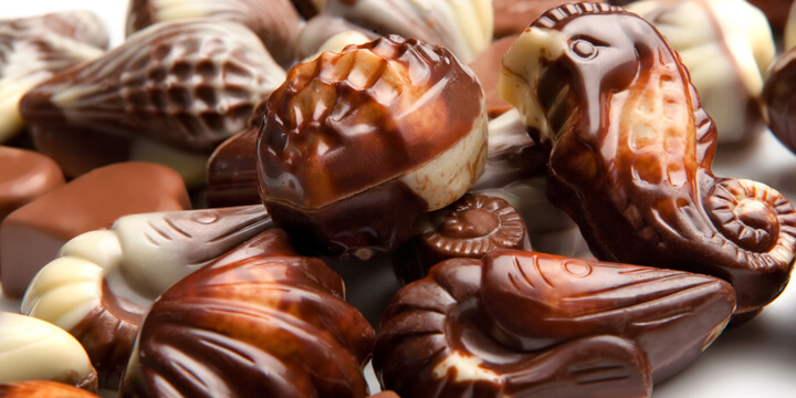 Signature Line | Blommer Chocolate Company
