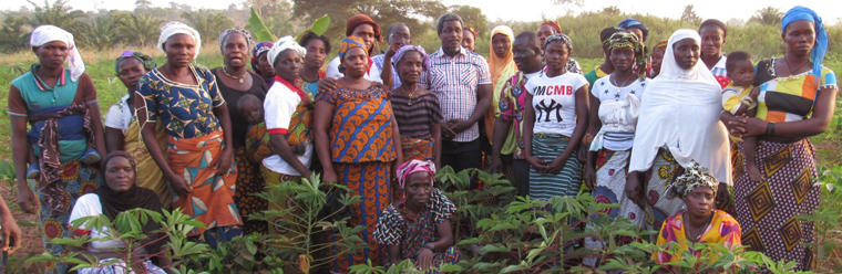 Photo of group of farmers standing in field in Africa