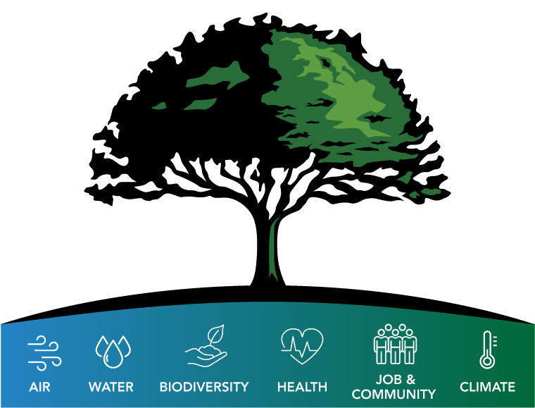 Six benefits of planting a tree graphic