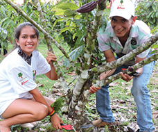 Teenage female and middle-age male posing with a cocoa tree